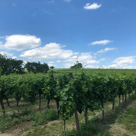 Domaine De La Fontaine * Osthoffen